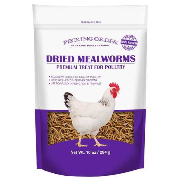 Pecking Order Mealworm Treat, 10 oz - 009330 | Blain's Farm & Fleet