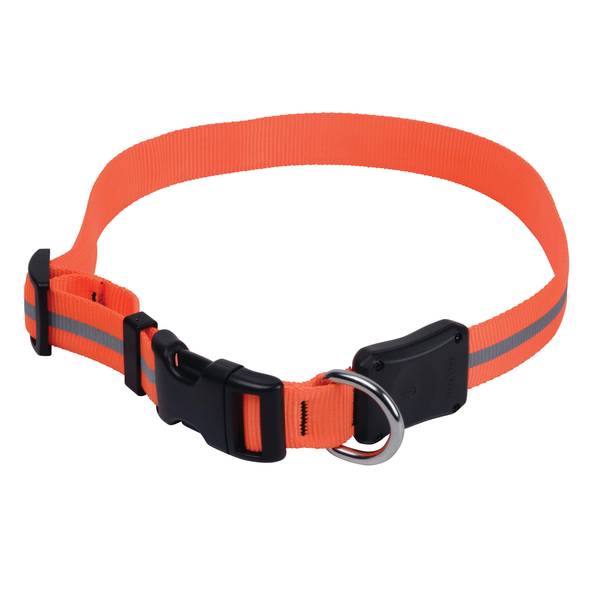 nite ize nite dawg led dog collar