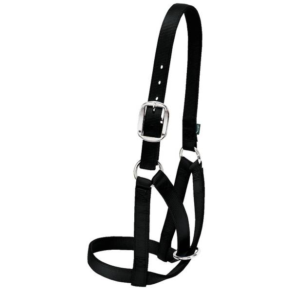Photo of Barn Cow Halter, Black