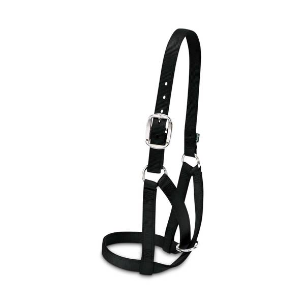 Photo of Barn Cow Halter, Black