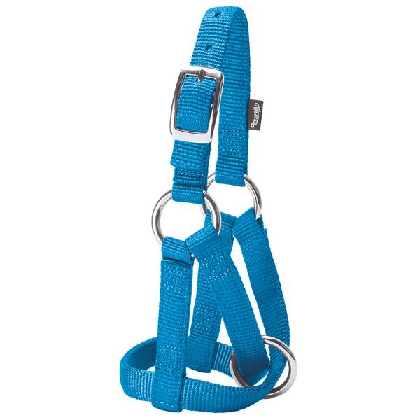 thumbnail image 2 of Weaver Leather Llama Livestock Halter - Blue Small Nylon Halter For Young Llamas 2 of 11