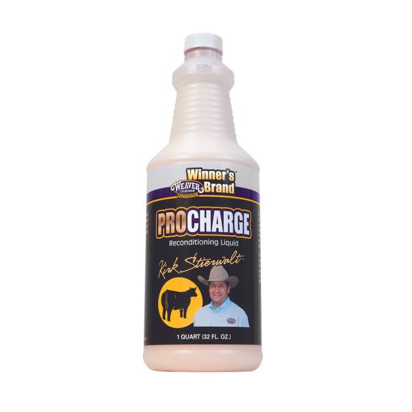 Photo of Pro Charge Reconditioning Liquid