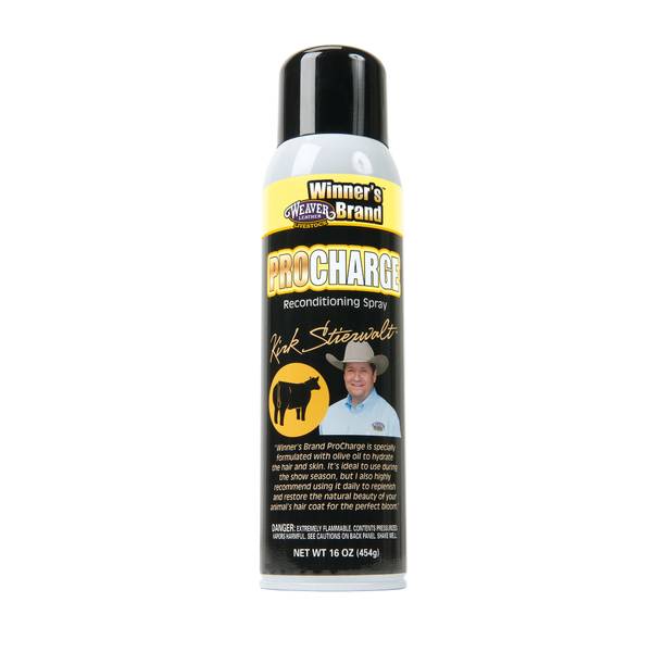 Photo of Pro Charge Reconditioning Spray