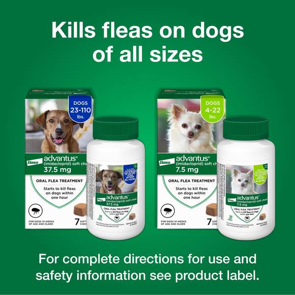 Bayer 7 Count Large Dog Advantus Oral Flea Treatment Soft Dog Chews ADV45446