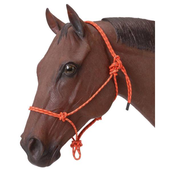 Photo of Horse Poly Rope Tied Halter
