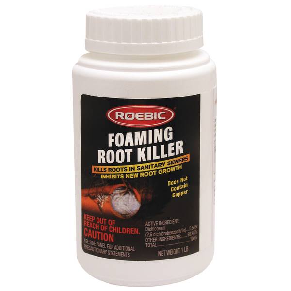 Photo of Foaming Root Killer