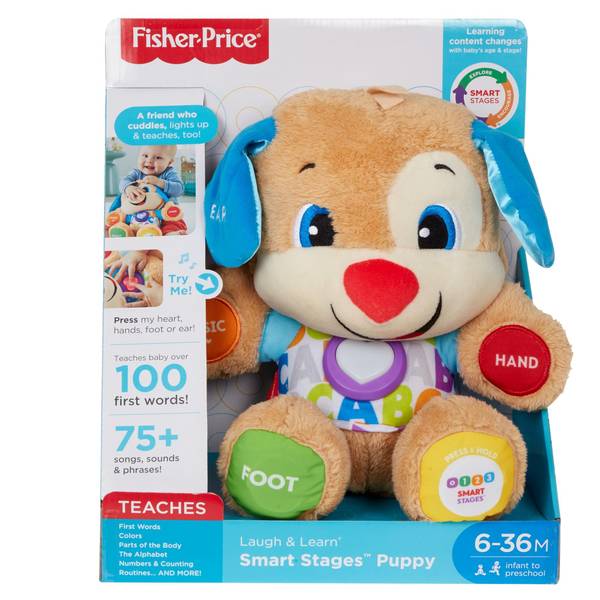  Fisher-Price Baby Toddler & Preschool Toy 4-in-1 Learning Bot  with Music Lights & Smart Stages Content for Ages 6+ Months : Toys & Games