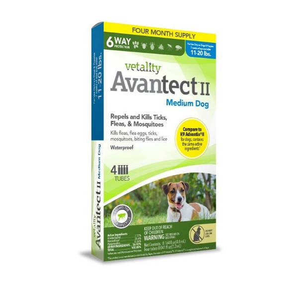 Photo of Avantect II for Medium Dogs