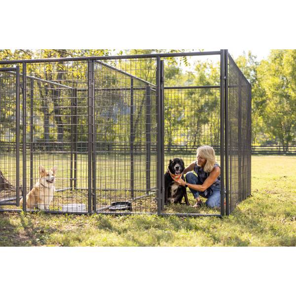 【中古】 Ruby Kennel Club BlindAlley Amazon.com: STEPHENS PIPE & STEEL Dkr10100 Solid Kennel Roof