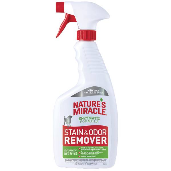 Advanced Stain and Odor Eliminator for Dogs