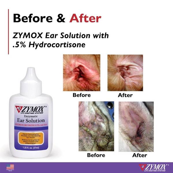 ZYMOX 1.25 oz Dog/Cat Ear Solution - 21250110 | Blain's Farm & Fleet