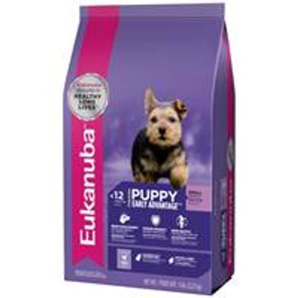 small breed puppy food