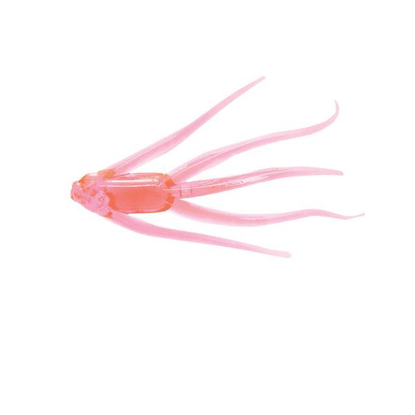 Clam Hot Pink Glow Maki Bait Jig