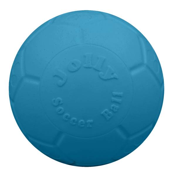 Lacrosse ball for outlet dogs