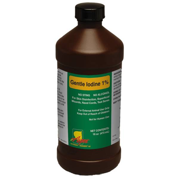 Photo of Gentle Iodine