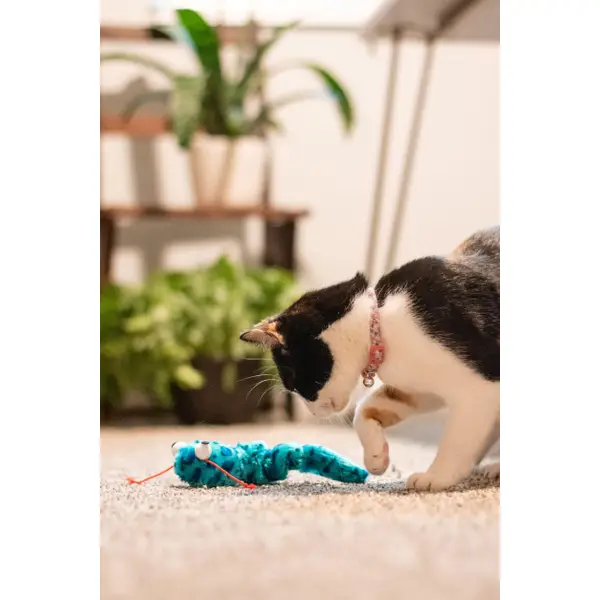 vibrating bug cat toy Vibration Machine for Weight Loss main image 1