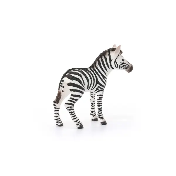 Schleich Wild Life Zebra Foal - 14811 | Blain's Farm & Fleet