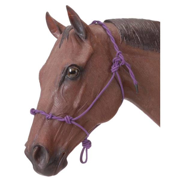 Photo of Knotted Rope and Twisted Crown Training Horse Halter