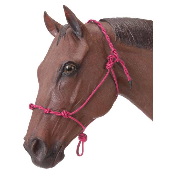 Photo of Knotted Rope and Twisted Crown Training Horse Halter