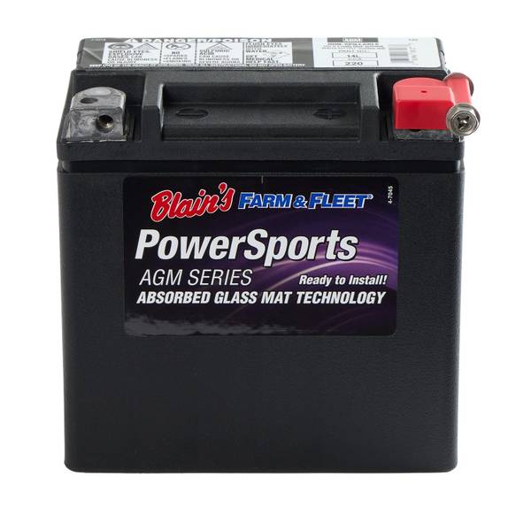 Photo of AGM PowerSports Battery, Group Size 14L, 220 CCA