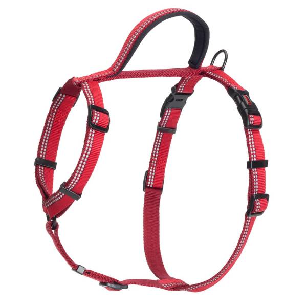 harness medium size dog