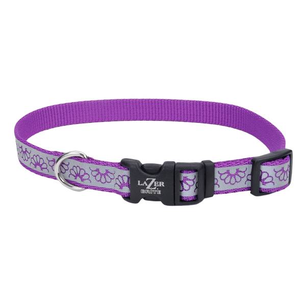 Coastal Pet Lazer Brite Purple Daisy Dog Collar, 12" 18" 46431 PDY18 Blain's Farm & Fleet