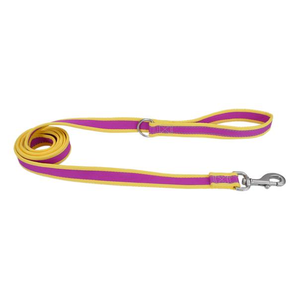 Coastal Pet 1"  x 6' Pro Reflective Dog Leash