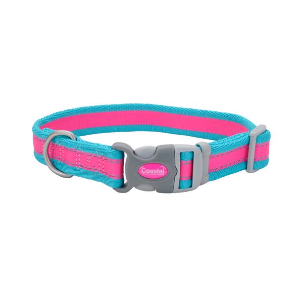 teal dog collar and leash