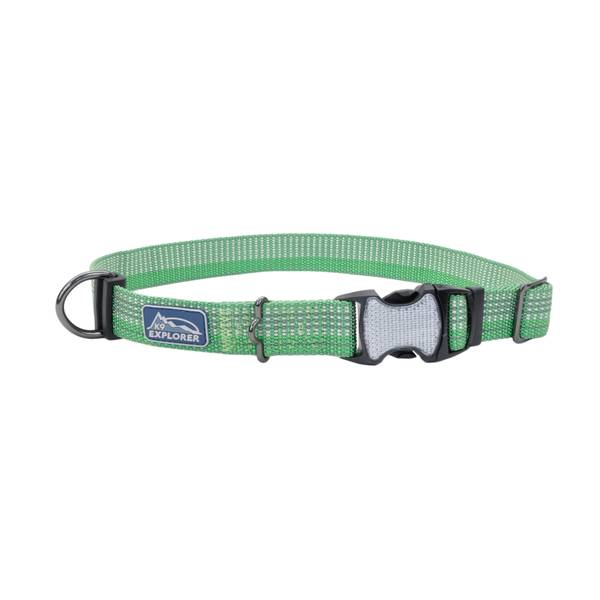 doberman collars and leashes