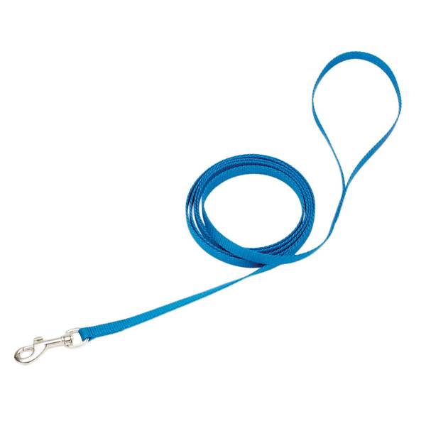 coastal leashes