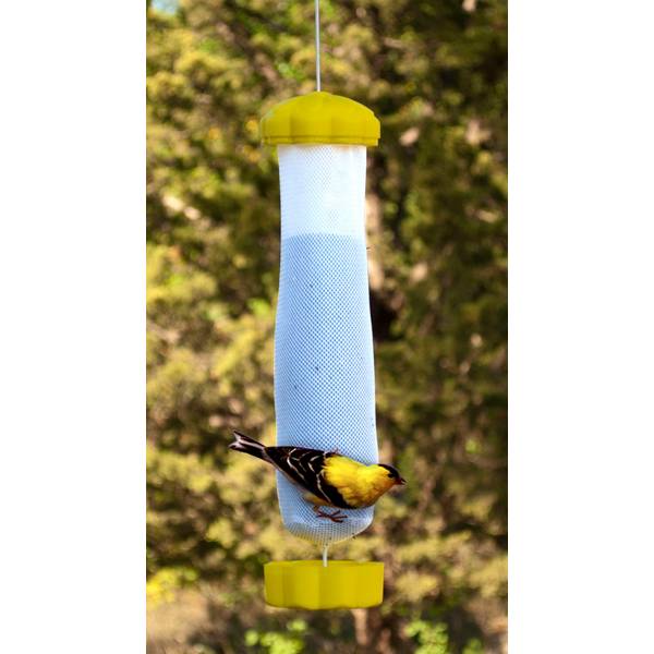 Photo of Blooming Yellow Flower Finch Feeder