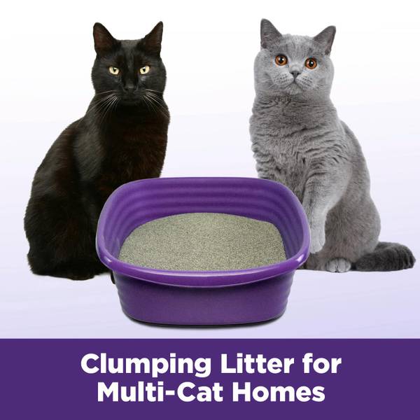 Arm Hammer 28 lb SLIDE Easy Clean-Up Multi-Cat Clumping Cat