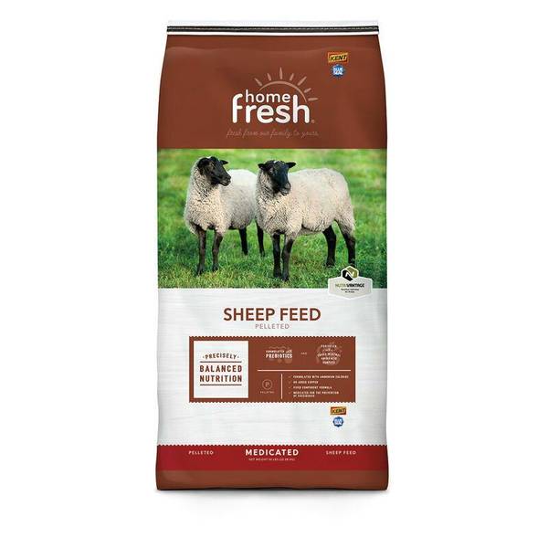 Kent 50 lb Home Fresh Pelleted Starter Sheep Feed 6502 Blain's Farm