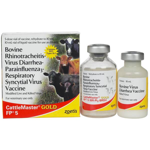 Farm and shop fleet dog vaccines