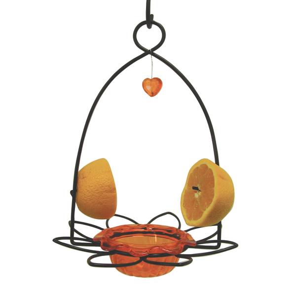 Photo of Oriole Flower Feeder, Cup for Jelly