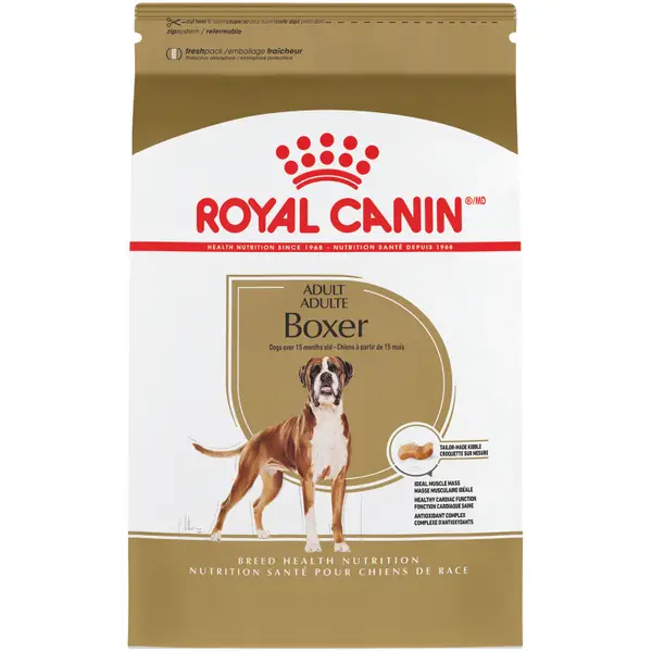 royal canin big bag