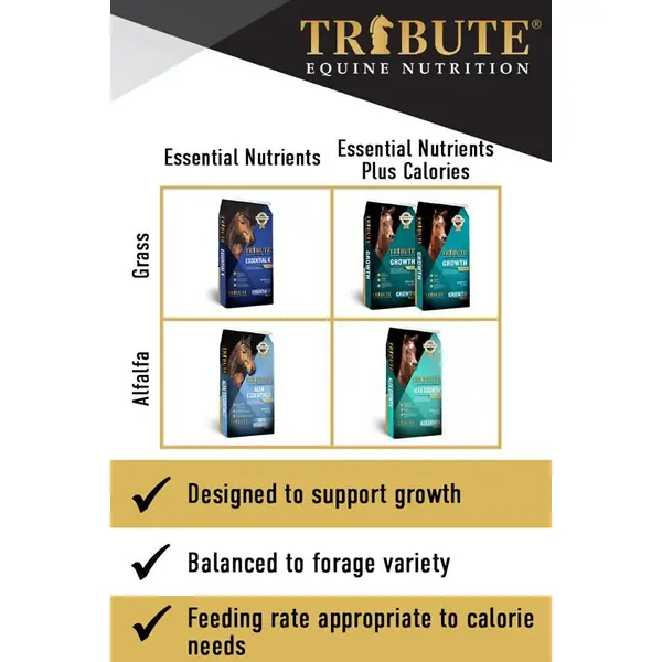 Brumate® Nav XL 32oz – Tribute Equine Nutrition