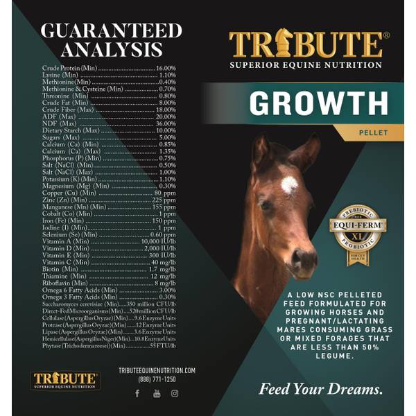 Brumate® Nav XL 32oz – Tribute Equine Nutrition