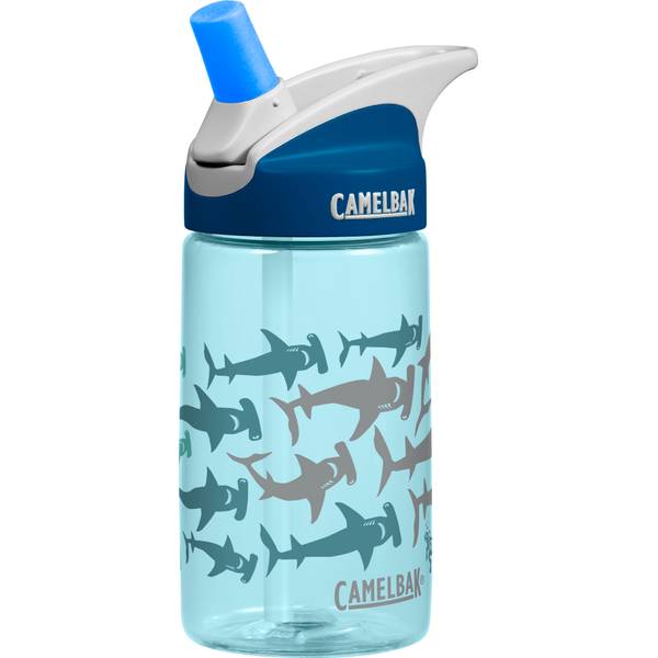 camelbak dinosaur bottle