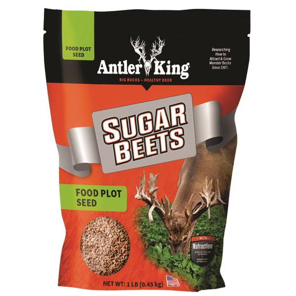 Antler King 1 lb Sugar Beets Food Plot 1SB Blain's Farm & Fleet