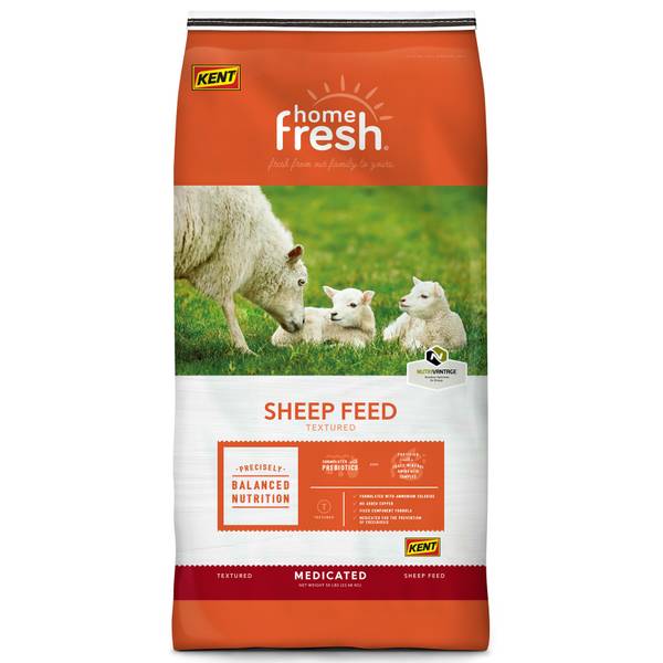 Kent 50 lb Home Fresh Textured Sheep Feed 6506 Blain's Farm & Fleet