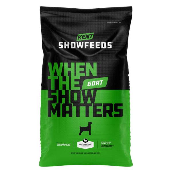 Photo of 50 lb Show Goat Full Boar