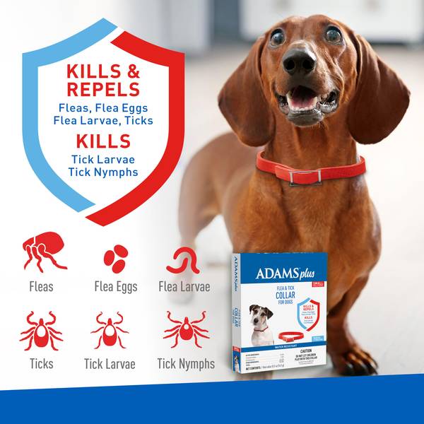 Adams Plus Small Dog Flea and Tick Collar 100519504 Blain s Farm Fleet