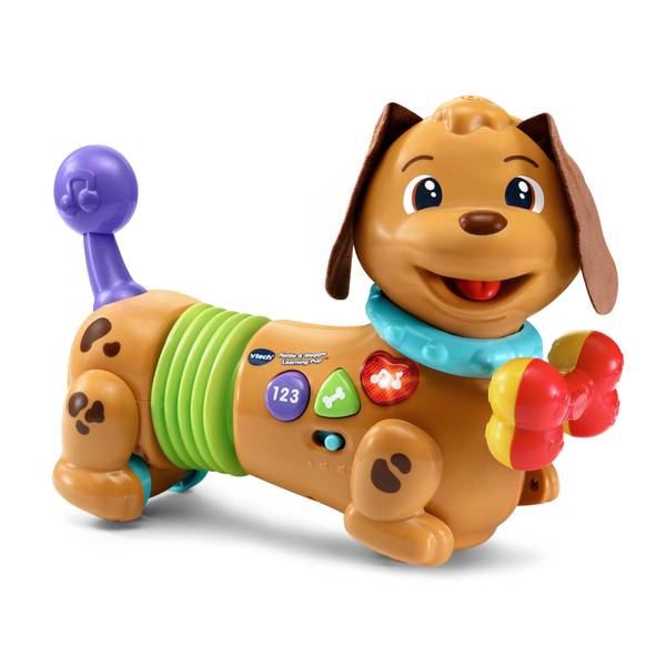 puppy learning toy