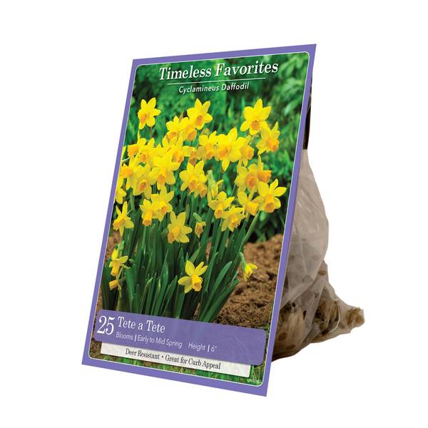 Photo of 10-Count Narcissus Tete a Tete