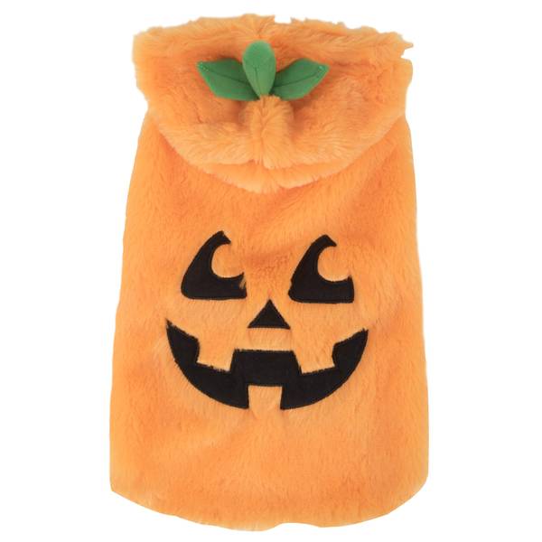 dog in a pumpkin costume