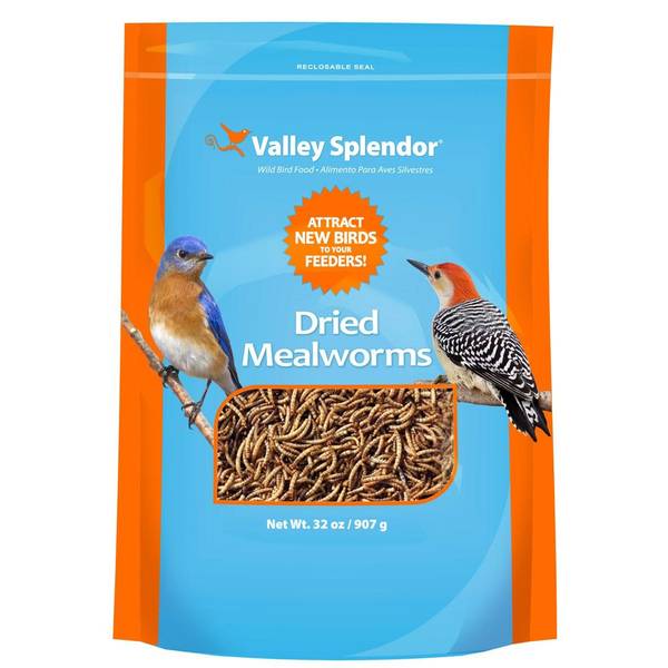 Photo of Dried Mealworms 7 oz, Attracts Bluebirds and Insect-Eating Birds