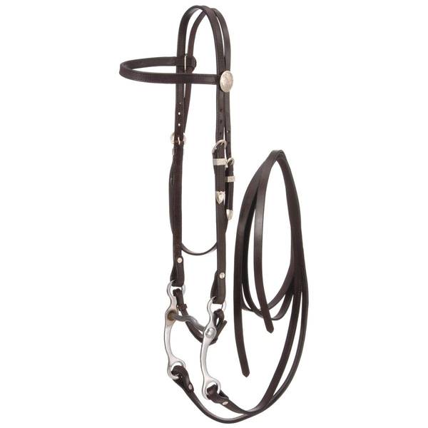 Photo of Complete Browband Bridle