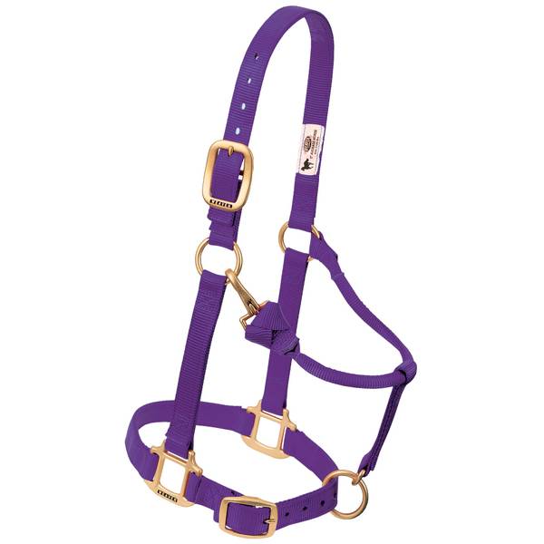 Photo of 3/4" Original Adjustable Chin and Throat Snap Halter