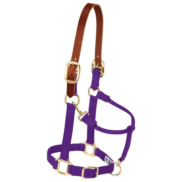 Photo of Yearling Breakaway Adjustable Halter